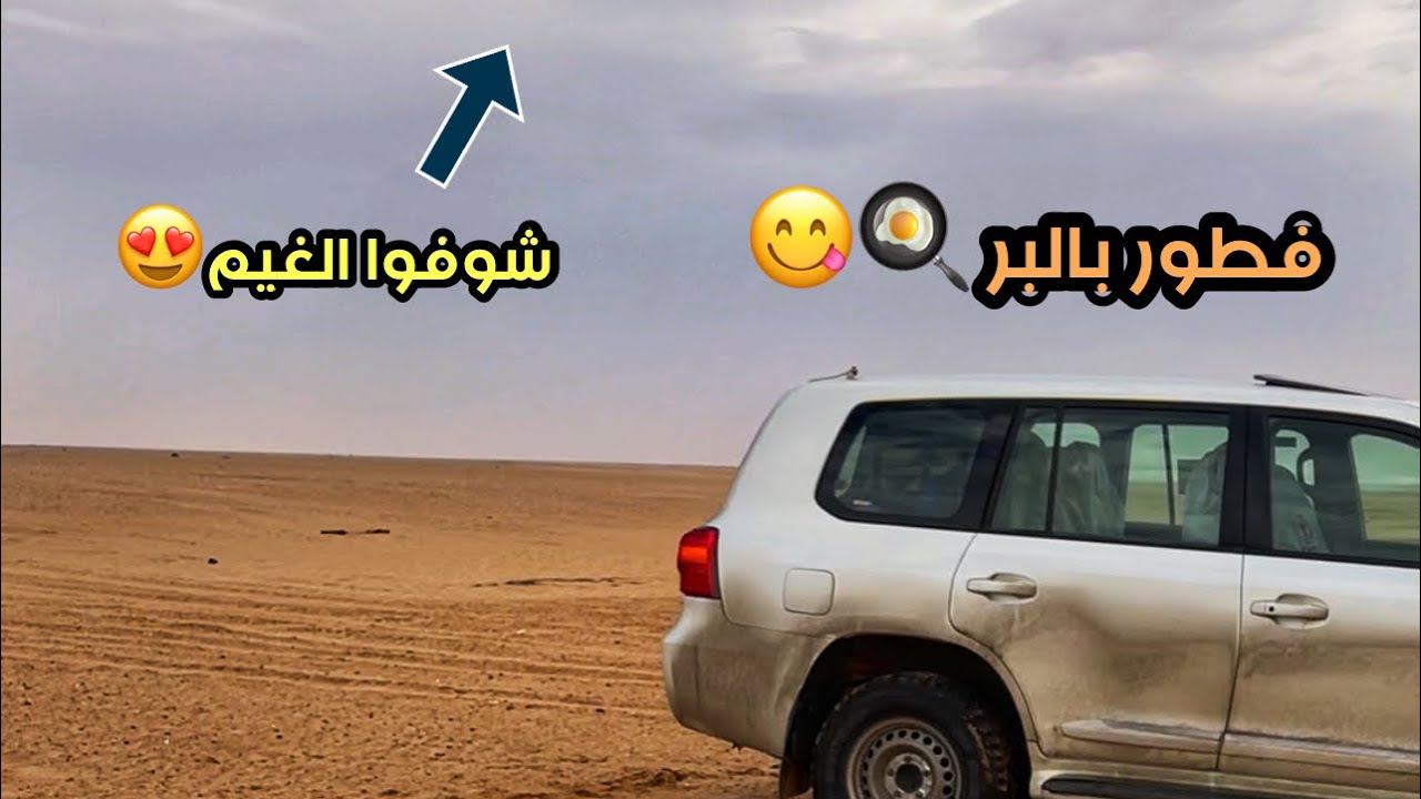 كشتة لحالي عقب الامطار 🌧