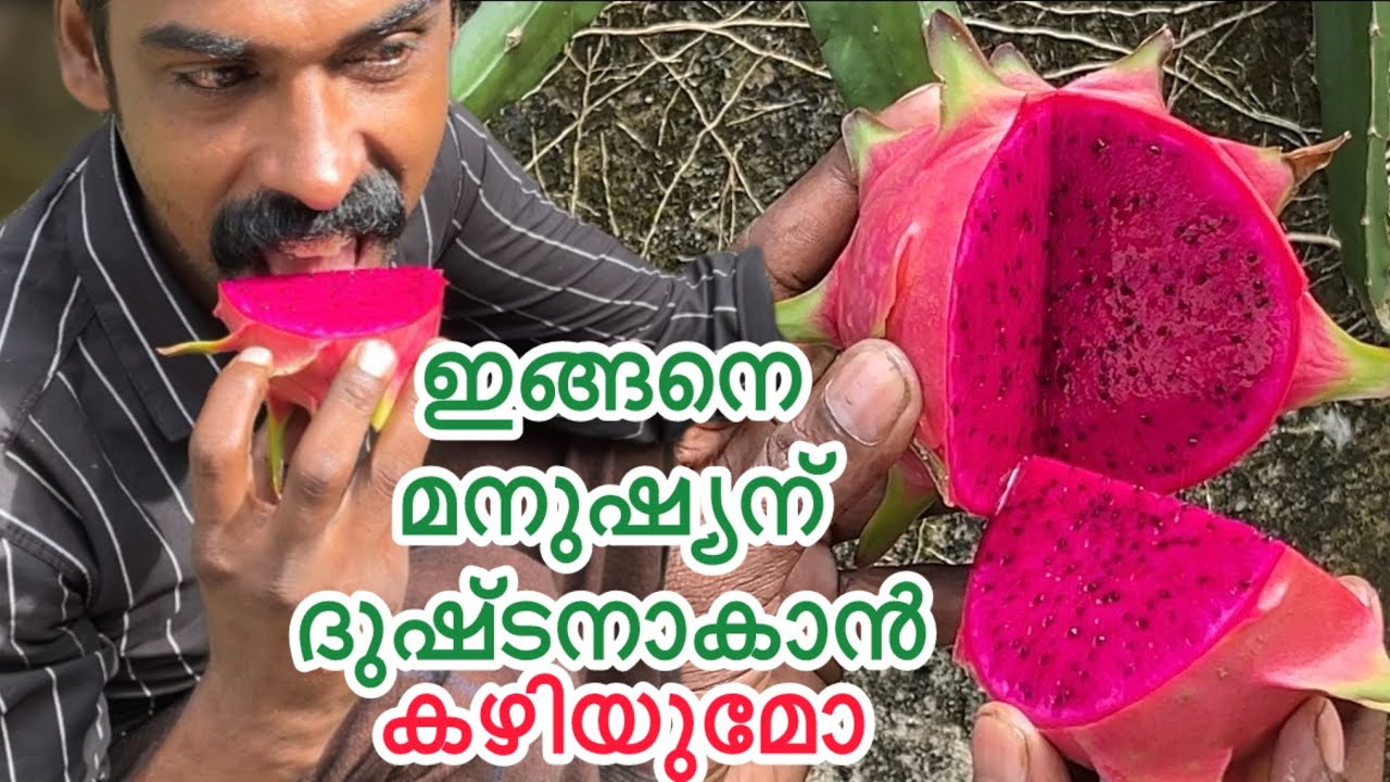 ഇങ്ങനെ ചെയ്താൽ ഇതല്ല ഇതിനപ്പുറവും സംഭവിക്കും 