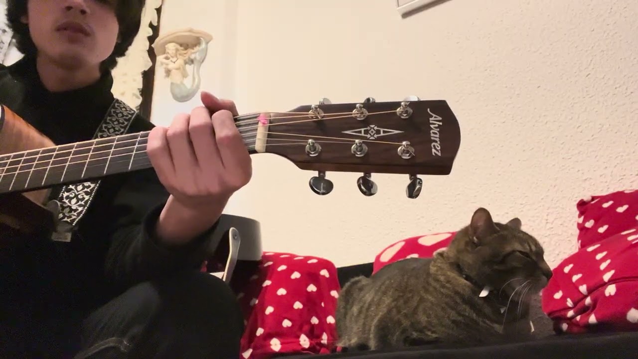 My response to the United States