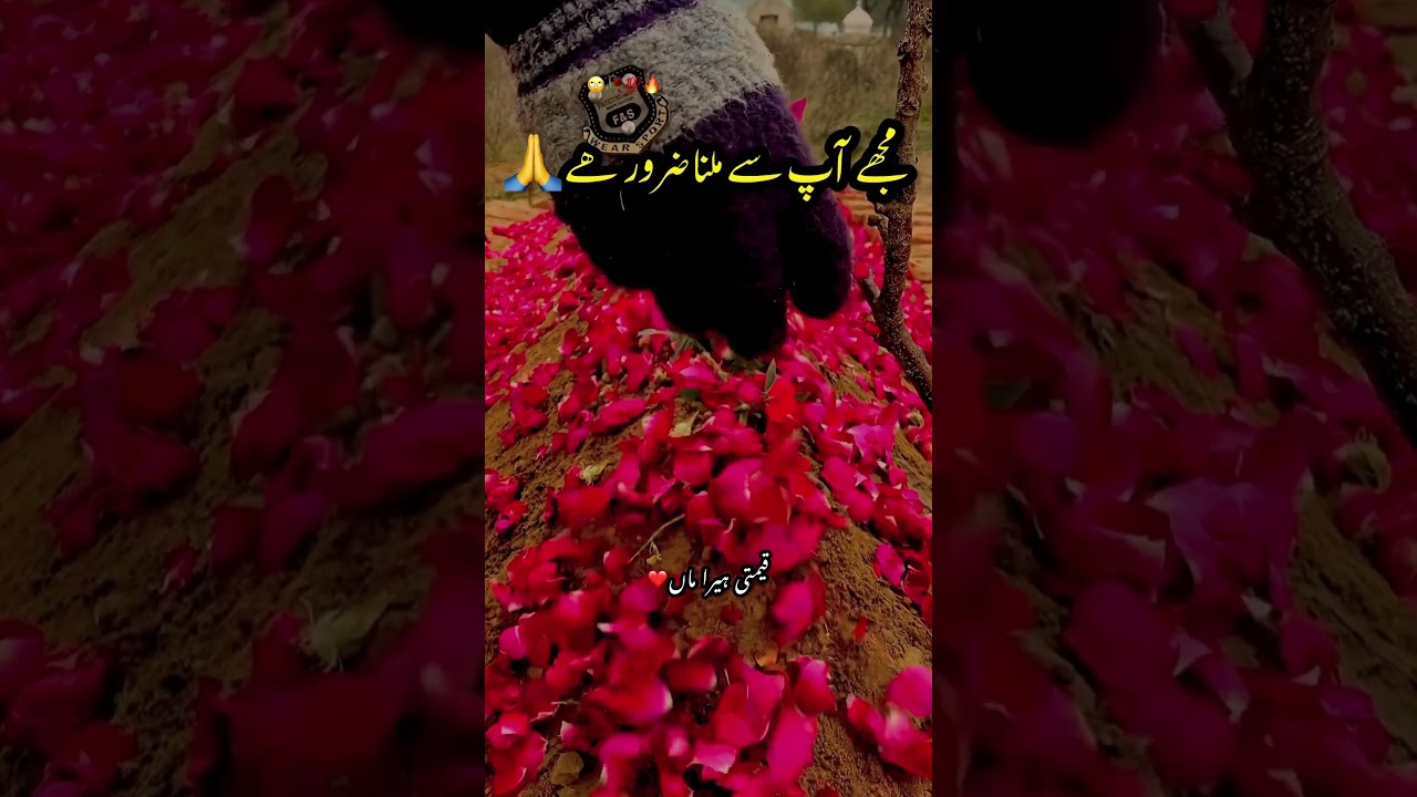 Maa main Tuj se Milton Kahan?😭🙏 #maa #qeemtiquotes #qeemtihiramaa #viral #shortvideos