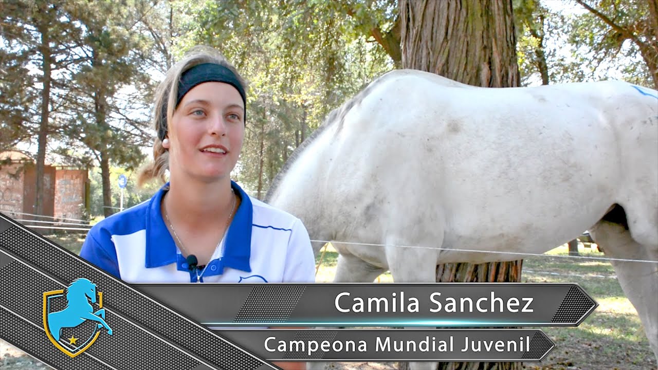 Caballos Argentinos - Programa 25 - Endurance - Que es Bitless?