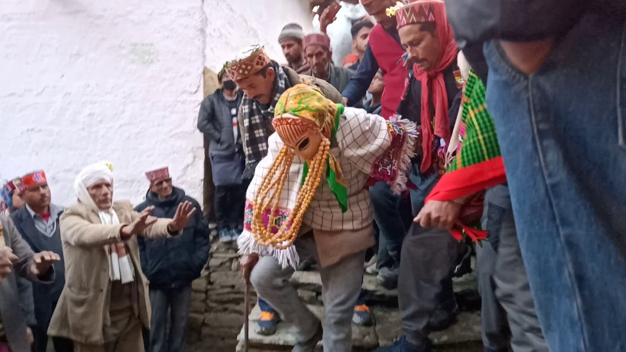 Tha most popular paldi faguli