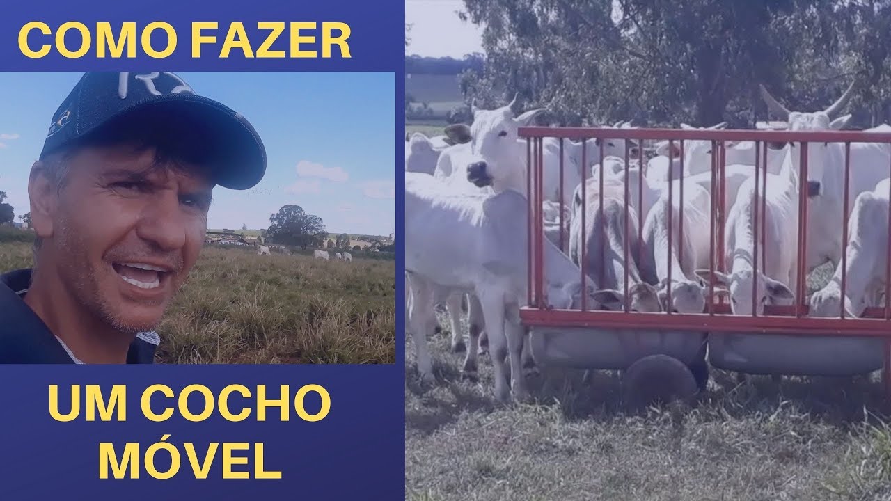 APRENDA A FAZER COCHO MÓVEL  PARA GADO ( CREEP FEEDING).