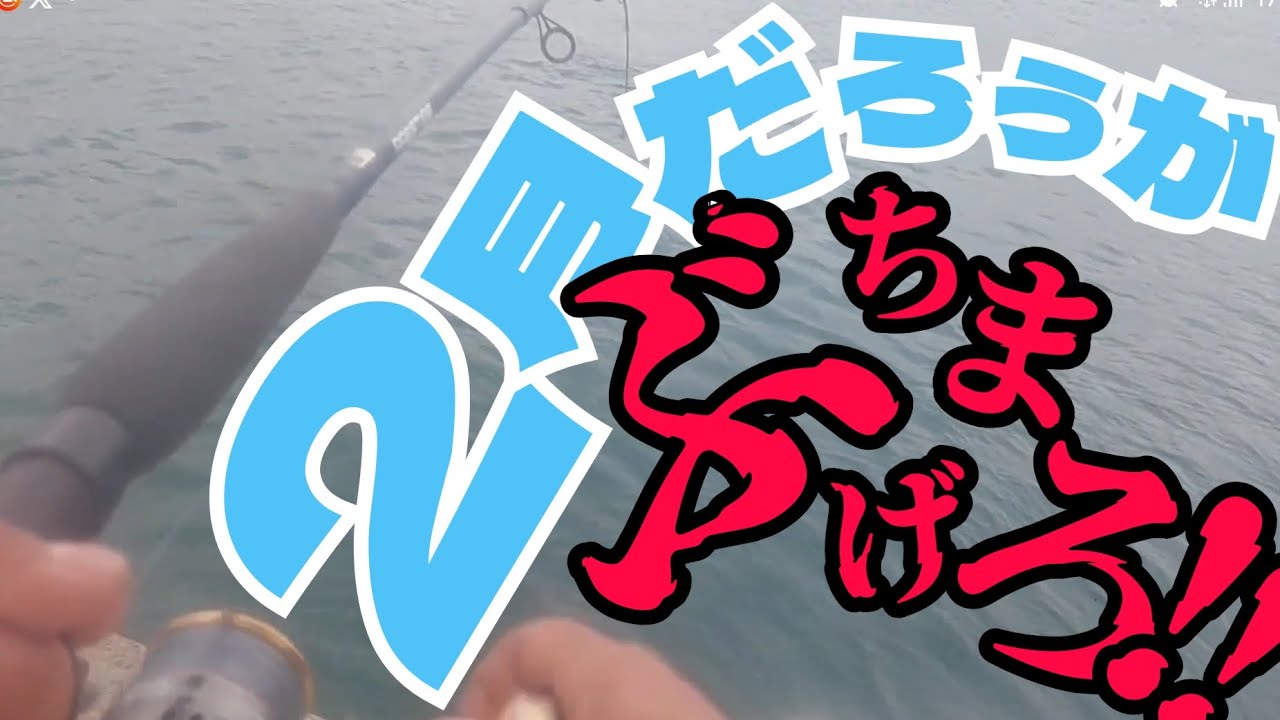 ２月の寒さに耐えて、手のひら2つ分の魚を釣りあげる！！【天草】