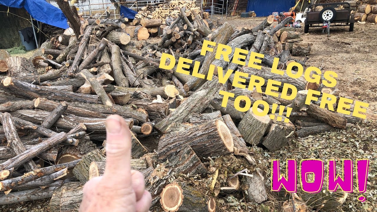 Finding Free Logs for Firewood Business