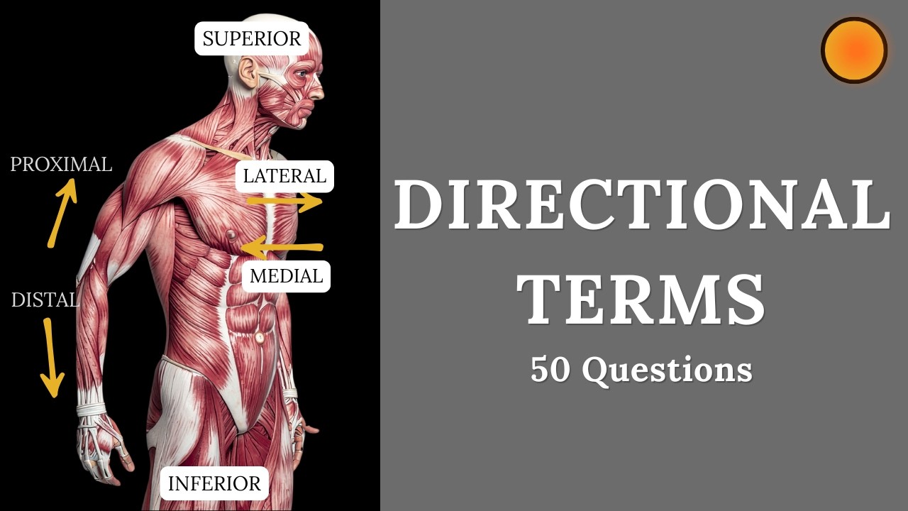 Advanced Anatomical Position and Directional Terms Quiz! #7. Anatomy MCQ's. Human Body Quiz