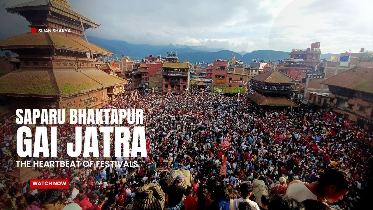 Gai Jatra Bhaktapur || Sa Paru || Ghintanghisi || Bhaktapur