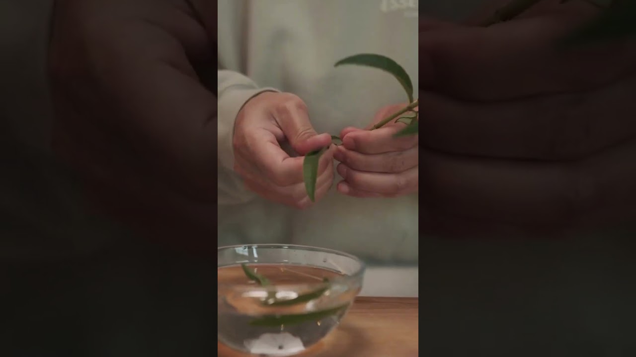 Making verbena tea from my home plant !