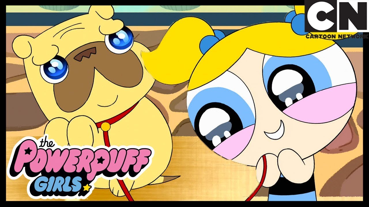 O Clube Das Babás De Cachorro | As Meninas Superpoderosas | Cartoon Network