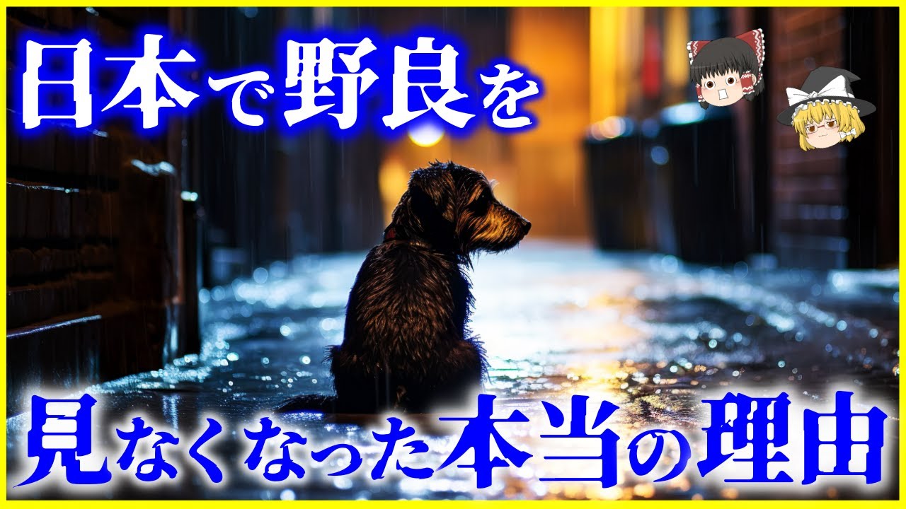 【ゆっくり解説】野良犬・野良猫はどこに行った？日本で「野良犬・野良猫」を見かけなくなった理由を解説/野犬と野良犬の違いは？猫の繁殖力の強さ