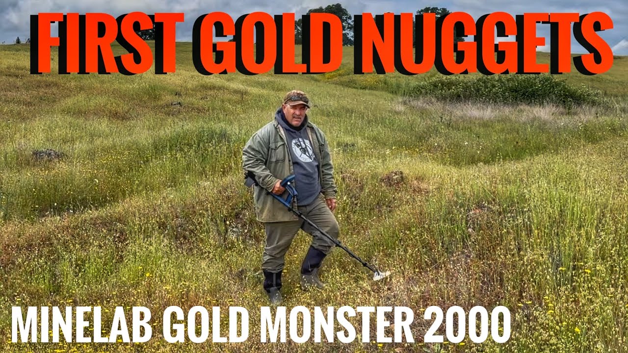 Pierwsze samorodki złota z Minelab Gold Monster 2000