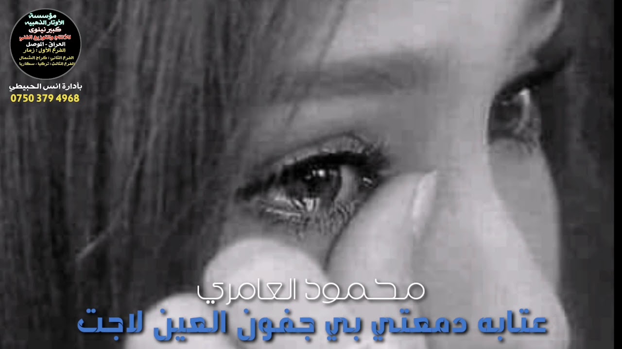 محمود العامري عتابات 2021_2022 تبجي الصخر خلص صبر الدليل حصرياً مؤسسة الأوتار الذهبيه