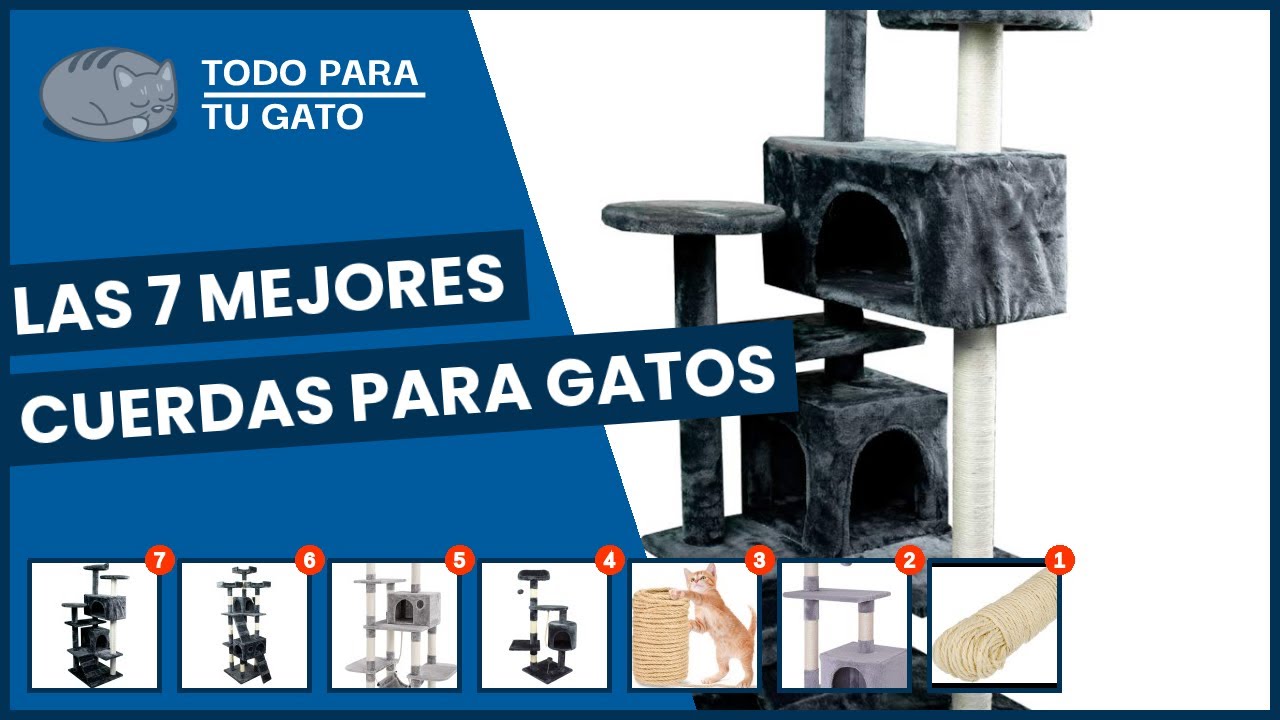 Las 7 mejores cuerdas para gatos
