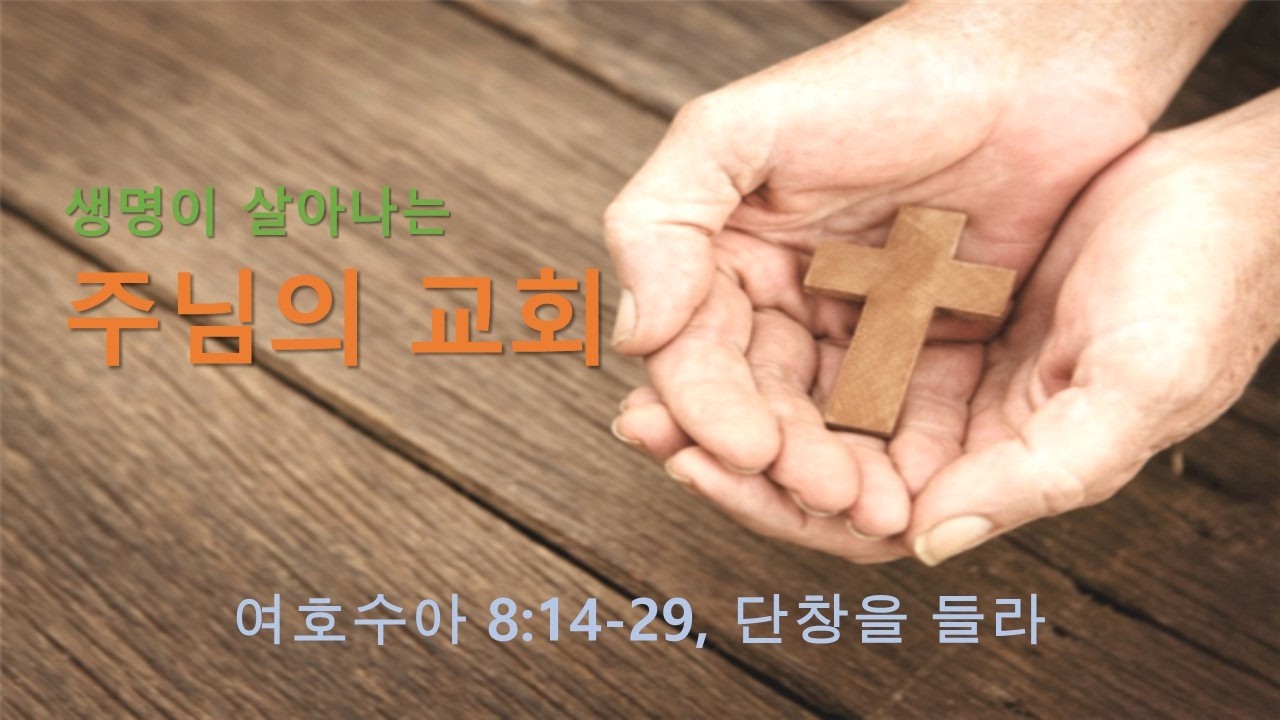 여호수아 8:14-29, 단창을 들라