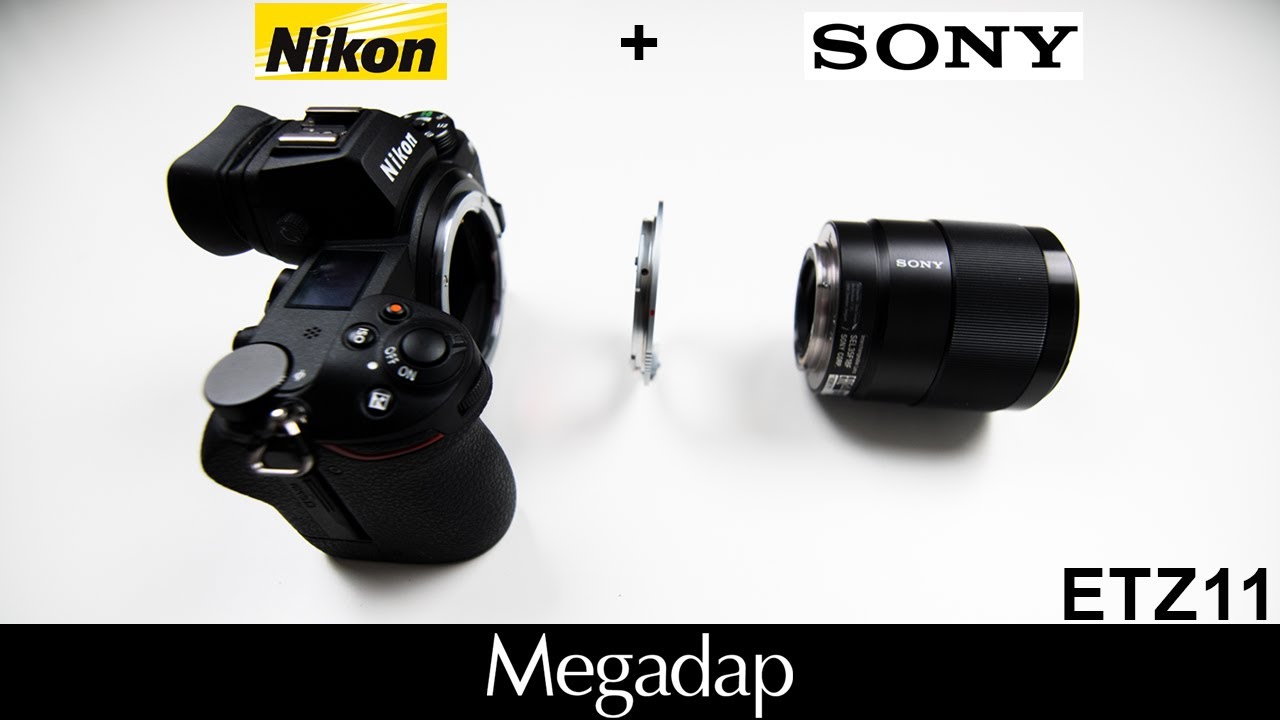 Megadap Sony E Lens to Nikon Z-Mount Autofocus Adapter  ETZ21 ETZ11  VS Canon R6 Duel Pixel 2 (