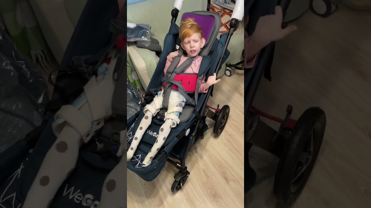 Firefly goto seat wego stroller