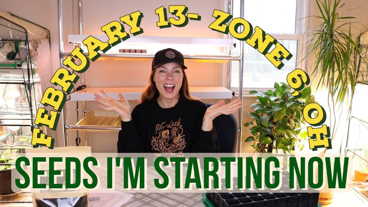 Veg & Herb Seeds to Sow in February- Zone 6