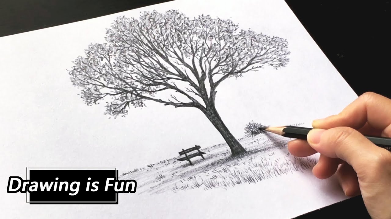 #58 速寫風景 / 鉛筆素描 / 畫樹  / 畫風景