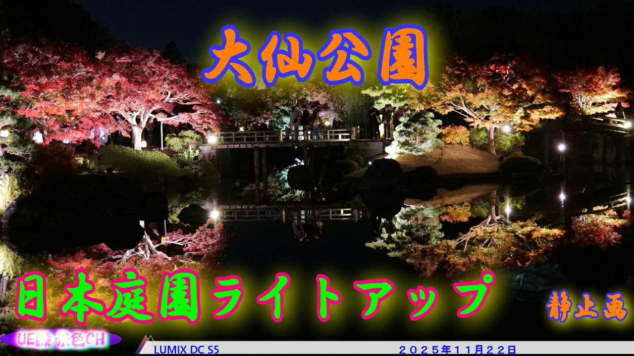 【4K】大仙公園 日本庭園ライトアップ 2025 | 堺の夜を彩る幻想的な紅葉（2025.11.22）