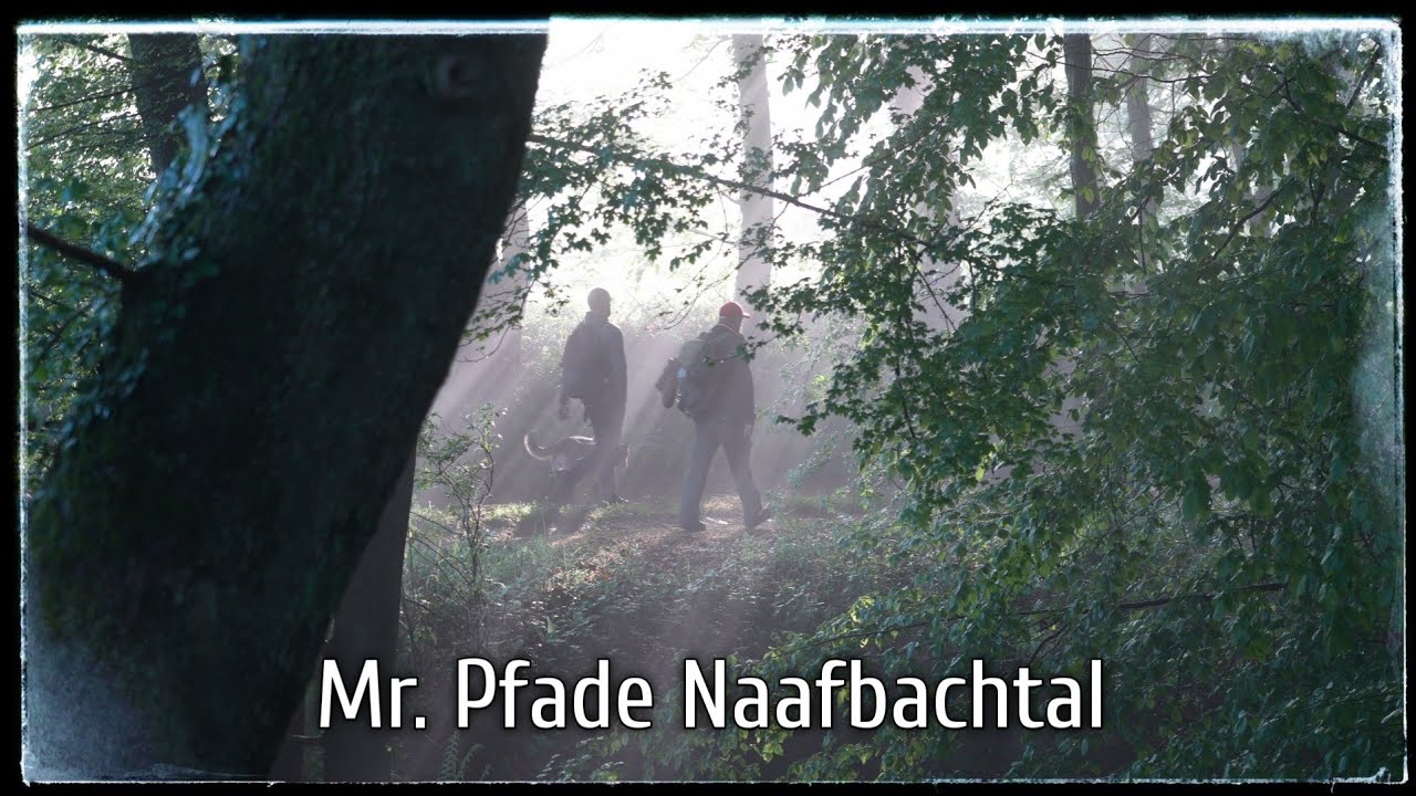 Traumhafte Morgenstimmung im Naafbachtal! Mr. Pfade Tour mit WaldPotatoes