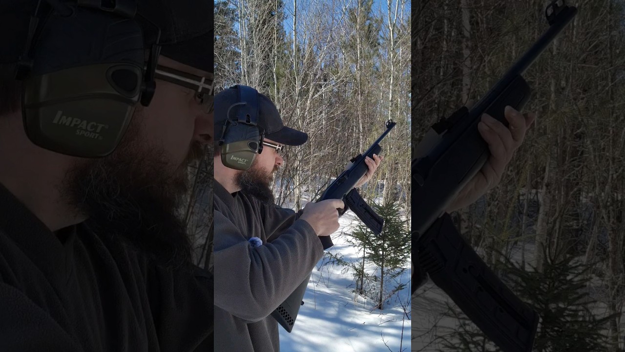 Mossberg 702 Plinkster. check out the review video. #rimfire #22lr #mossberg #semiauto