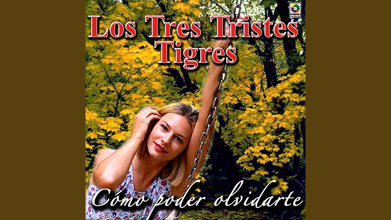 Cómo Poder Olvidarte