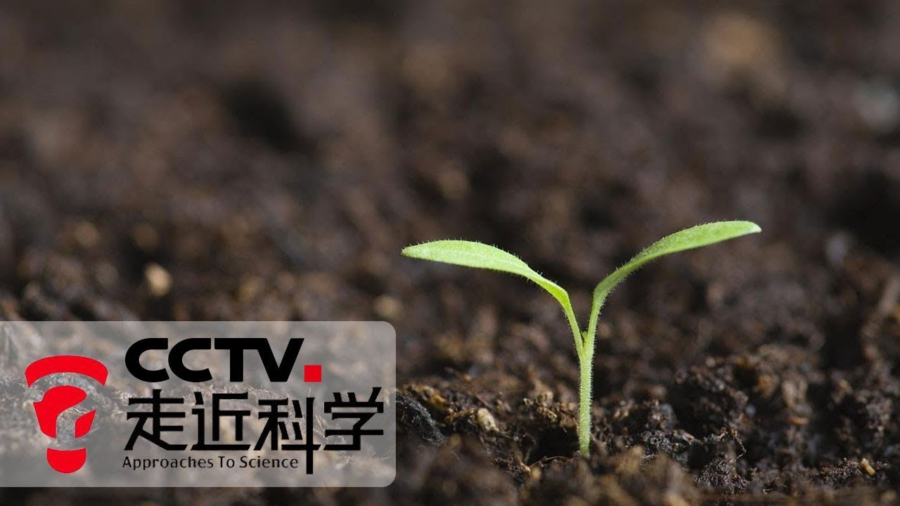 《走近科学》 未知的土壤 20190305 | CCTV走近科学官方频道