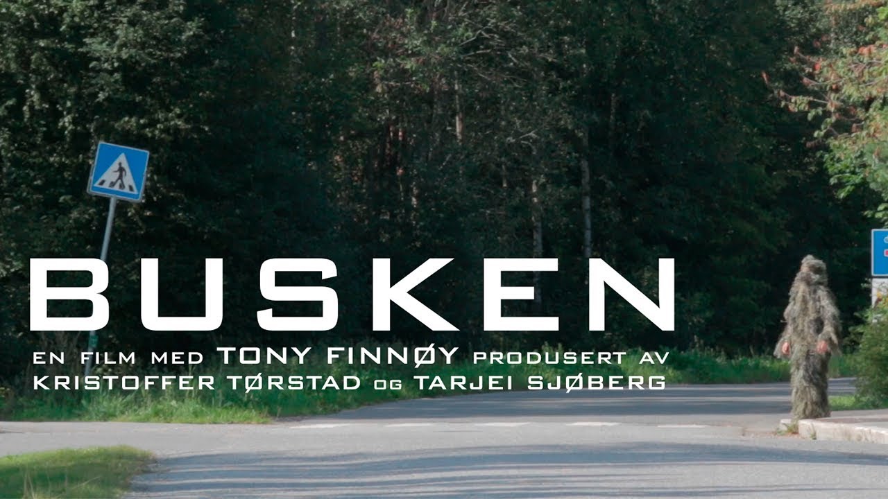 The Bush // Busken