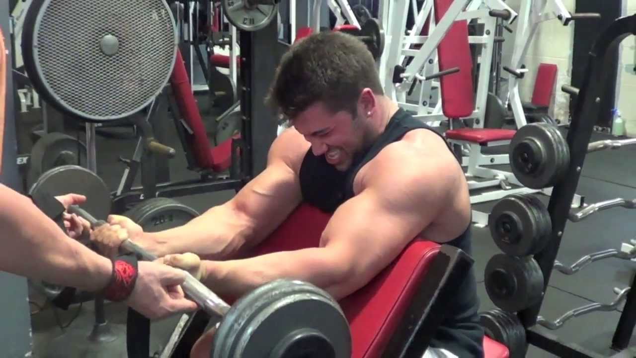 Biceps - Never Back Down