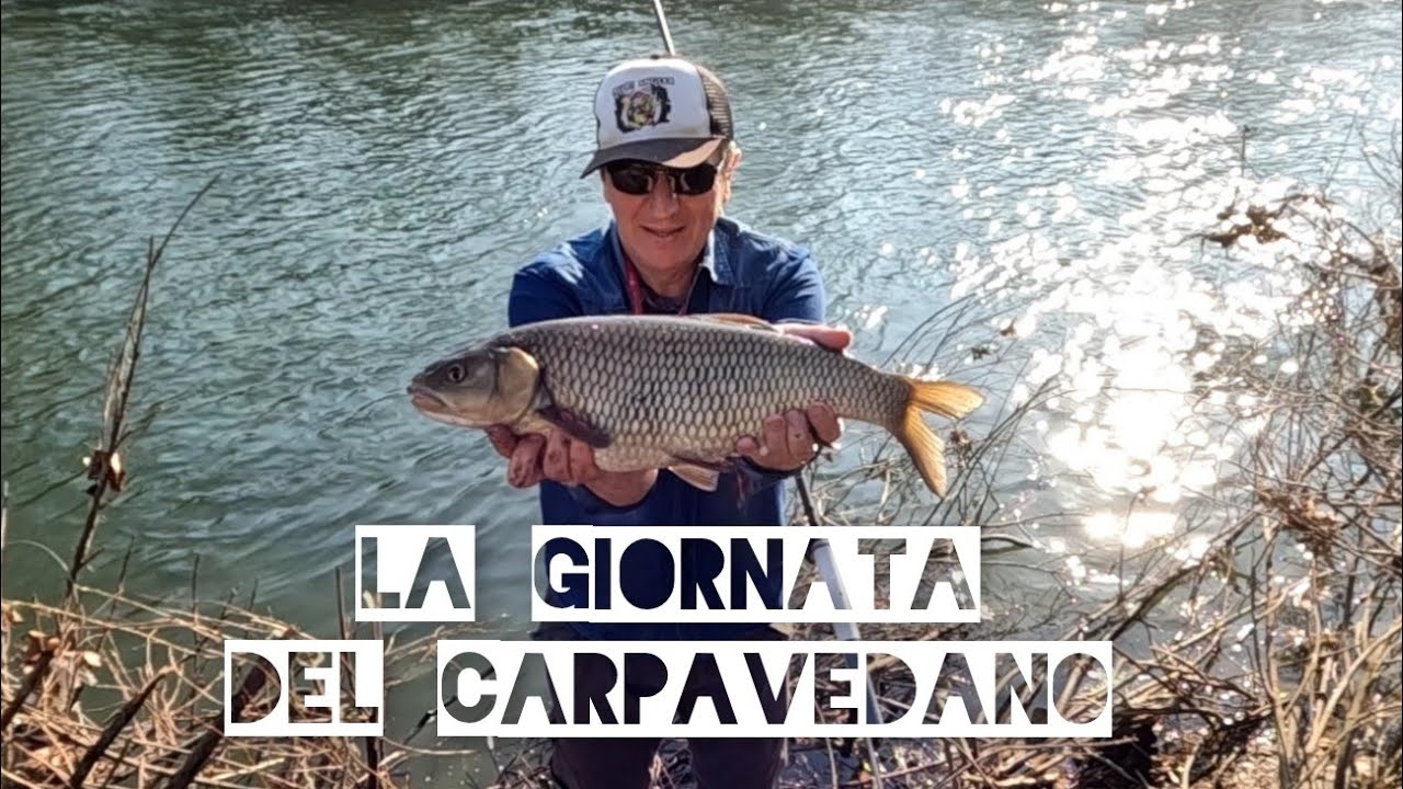 La giornata del carpavedano - video completo