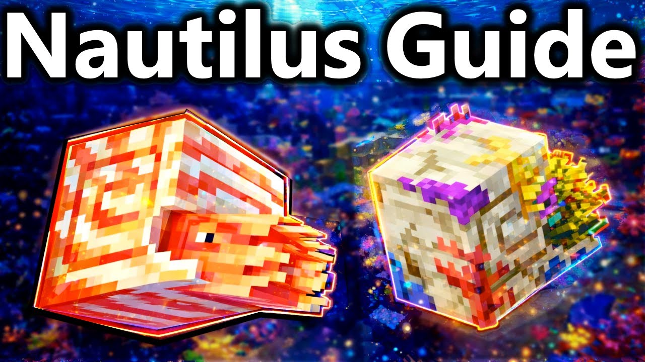The Minecraft Nautilus Is WAY COOLER THAN YOU THINK
