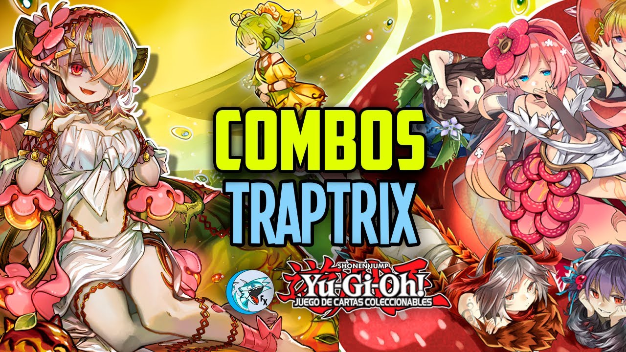 ✅📈COMBOS TRAPTRIX - YUGIOH! 2024