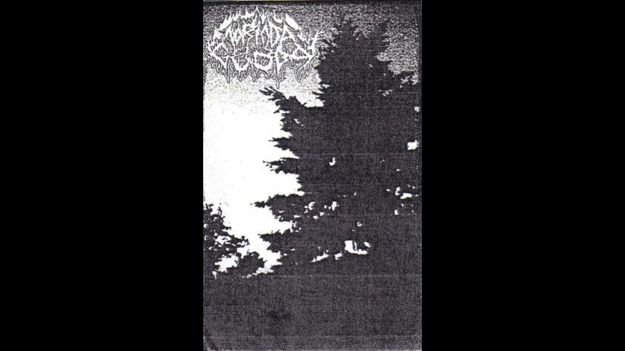 Nortada Gelada - Nevoeiro Da Gl&oacute;ria Imortal
