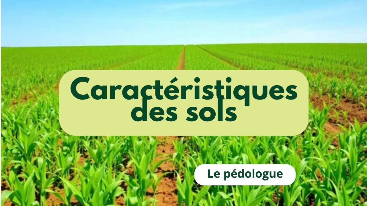 Le Docteur des sols_ La nature de mon sol