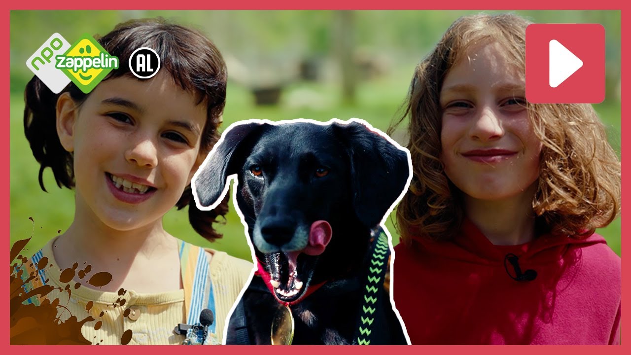 HONDEN VERZAMELEN AFVAL 🐶 🚮 | Beestenbrigade Modderace | NPO Zappelin