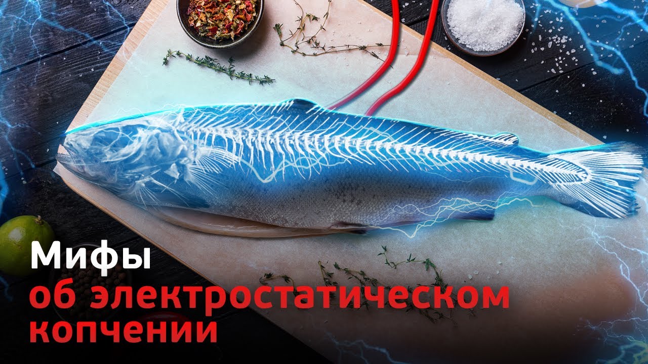 Мифы об электростатическом копчении. Почему стоит купить электростатическую коптильню?