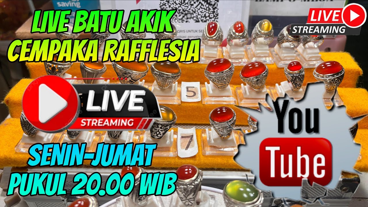 Live Batu Cempaka Rafflesia Bengkulu