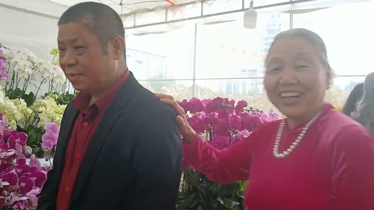  xuân về rực rỡ sắc hoa