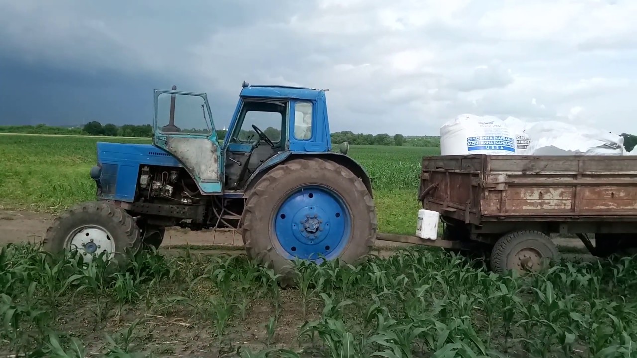 Підживлення кукурудзи. 16.06.2020.р.
