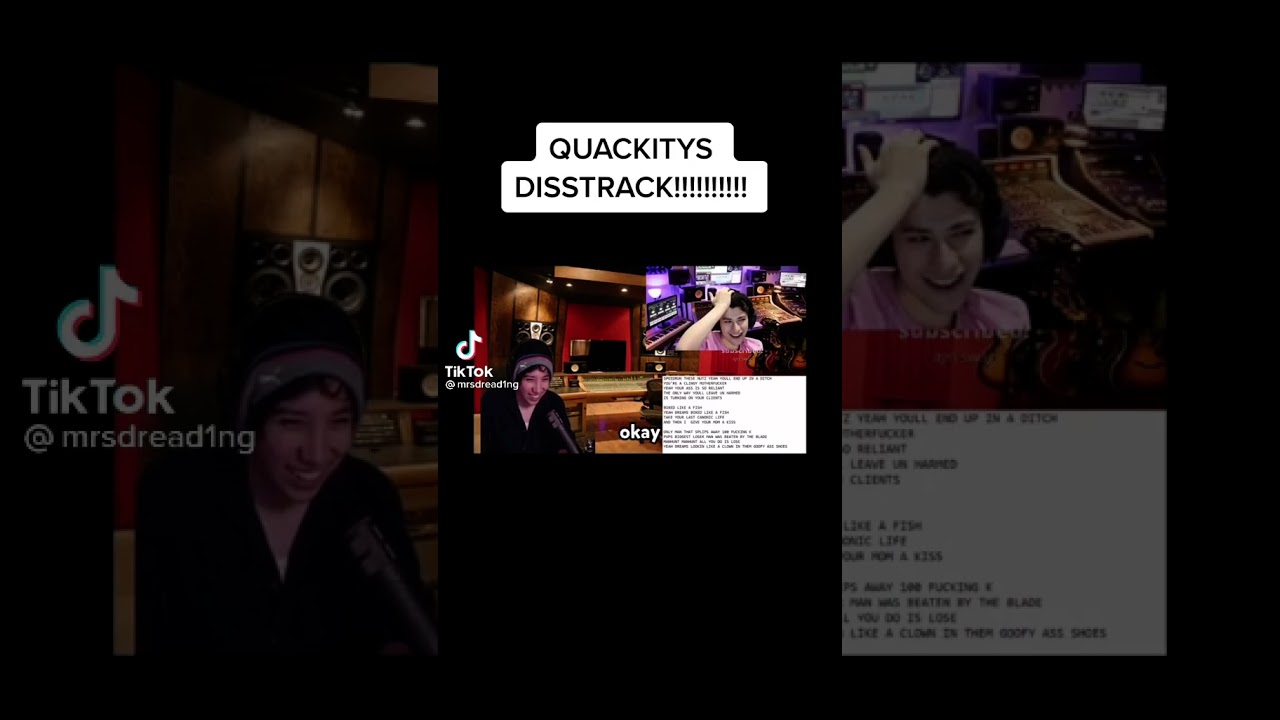 quackity roasts dream
