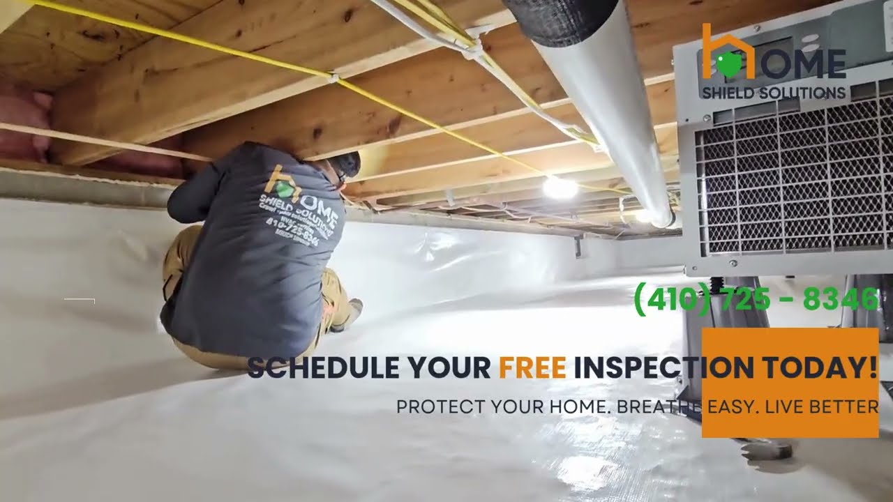 Crawl Space Insulation & Repair | Mold Remediation, Vapor Barrier & Structural Work