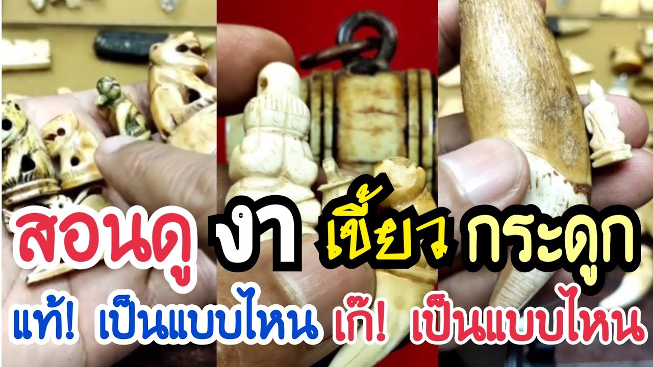 สอนดู 