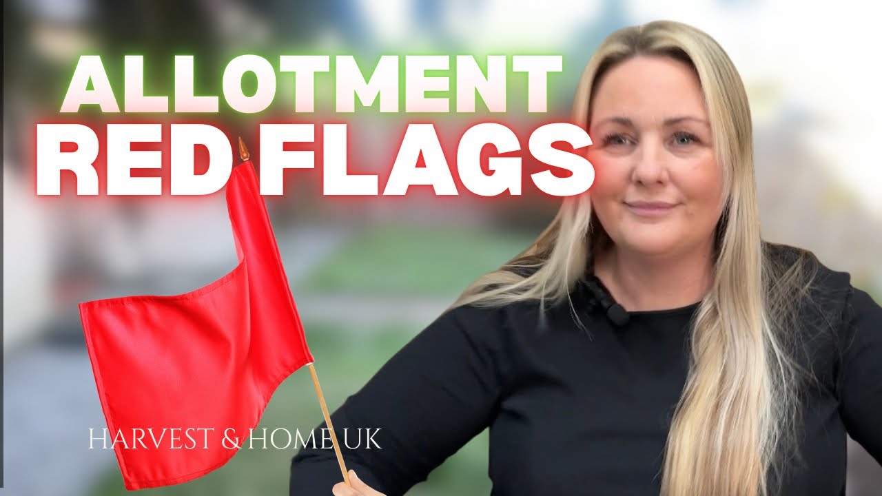Red Flags for New Allotment Plot Holders | What to WATCH OUT for as an Allotment Holder