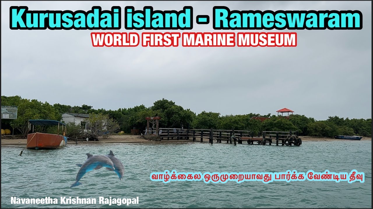💢வாழ்க்கைல ஒருமுறையாவது பார்க்க வேண்டிய இடம் குருசடை தீவு pampan Rameswaram⁉️