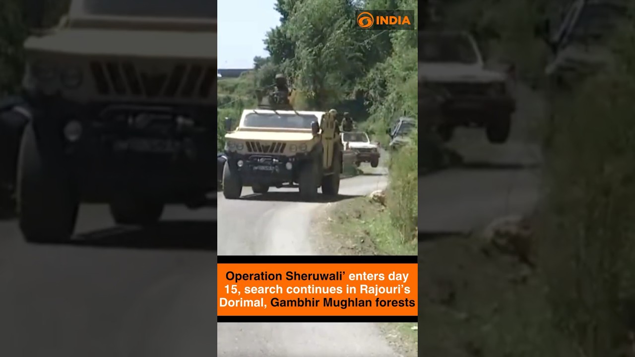 Operation Sheruwali&rsquo; enters day 15, search continues in Rajouri&rsquo;s Dorimal, Gambhir Mughlan forests