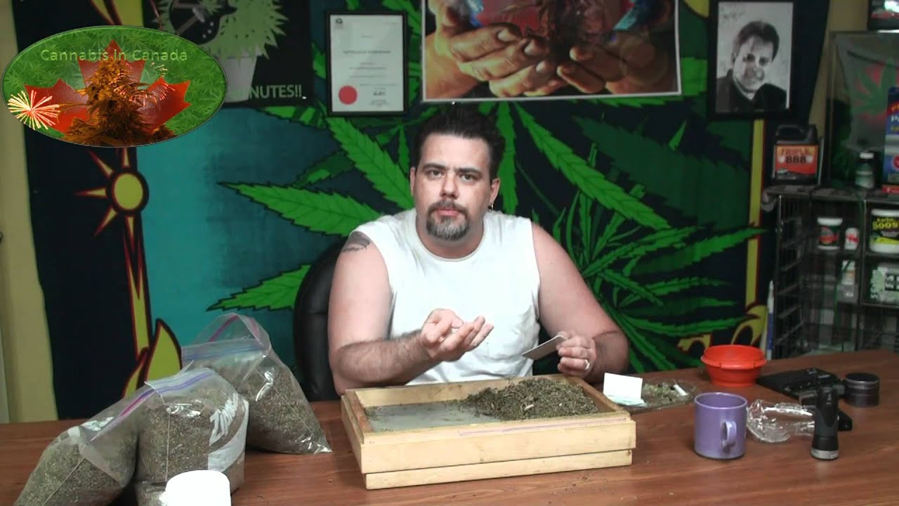 Jason talks Trichomes Part Two