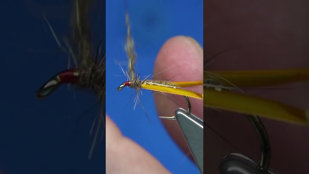 Hare's Mask Midge Pupa Buzzer #shorts