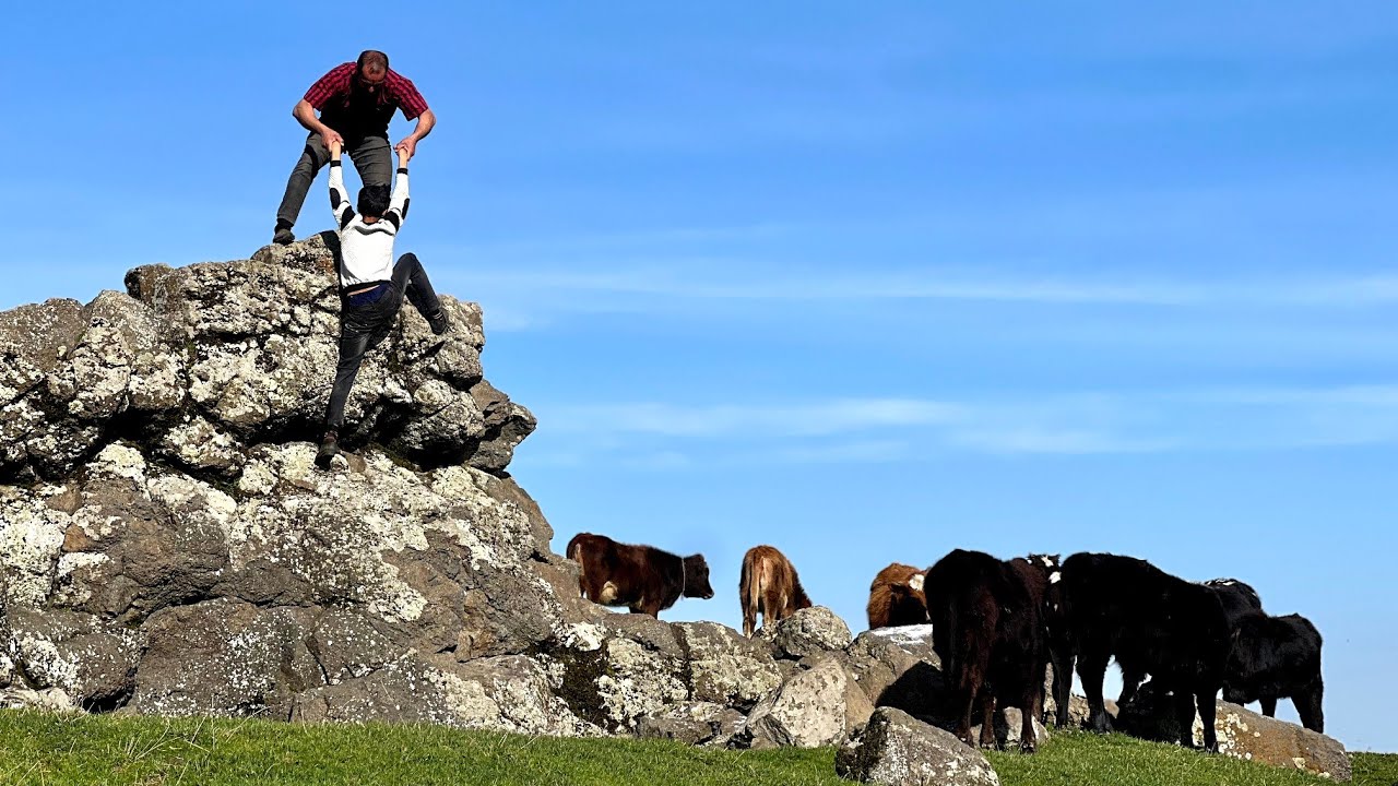 Daily tasks of the Nomads. Baking Delicious Local Bread and Giving Salt to the Calves