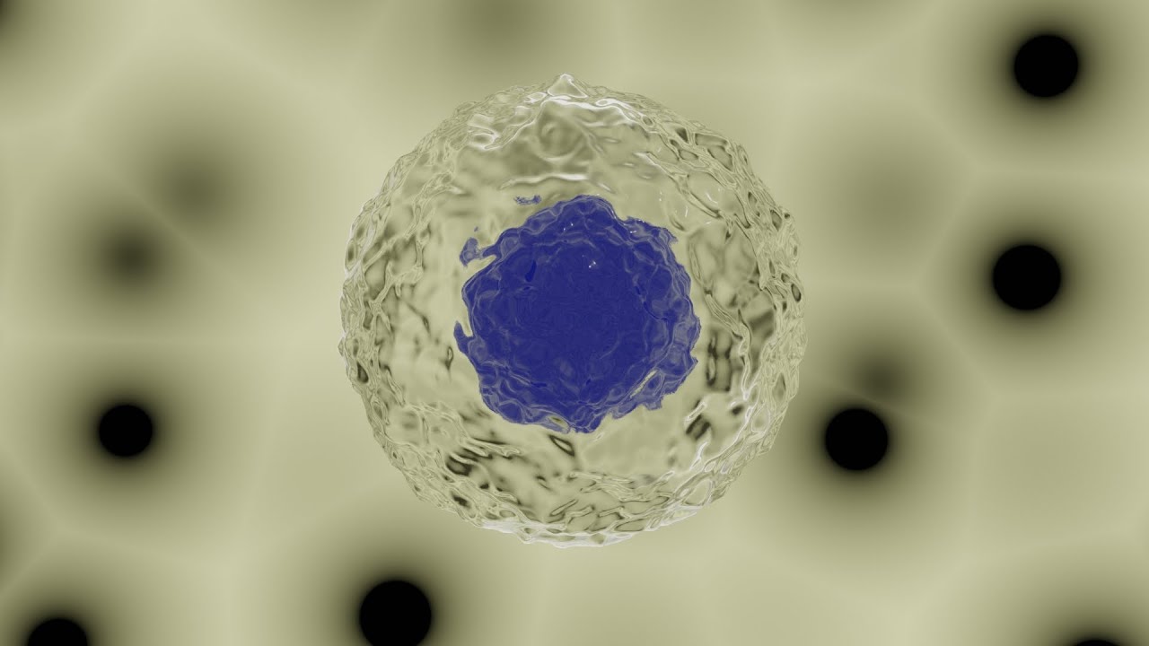 How to make a cell on blender