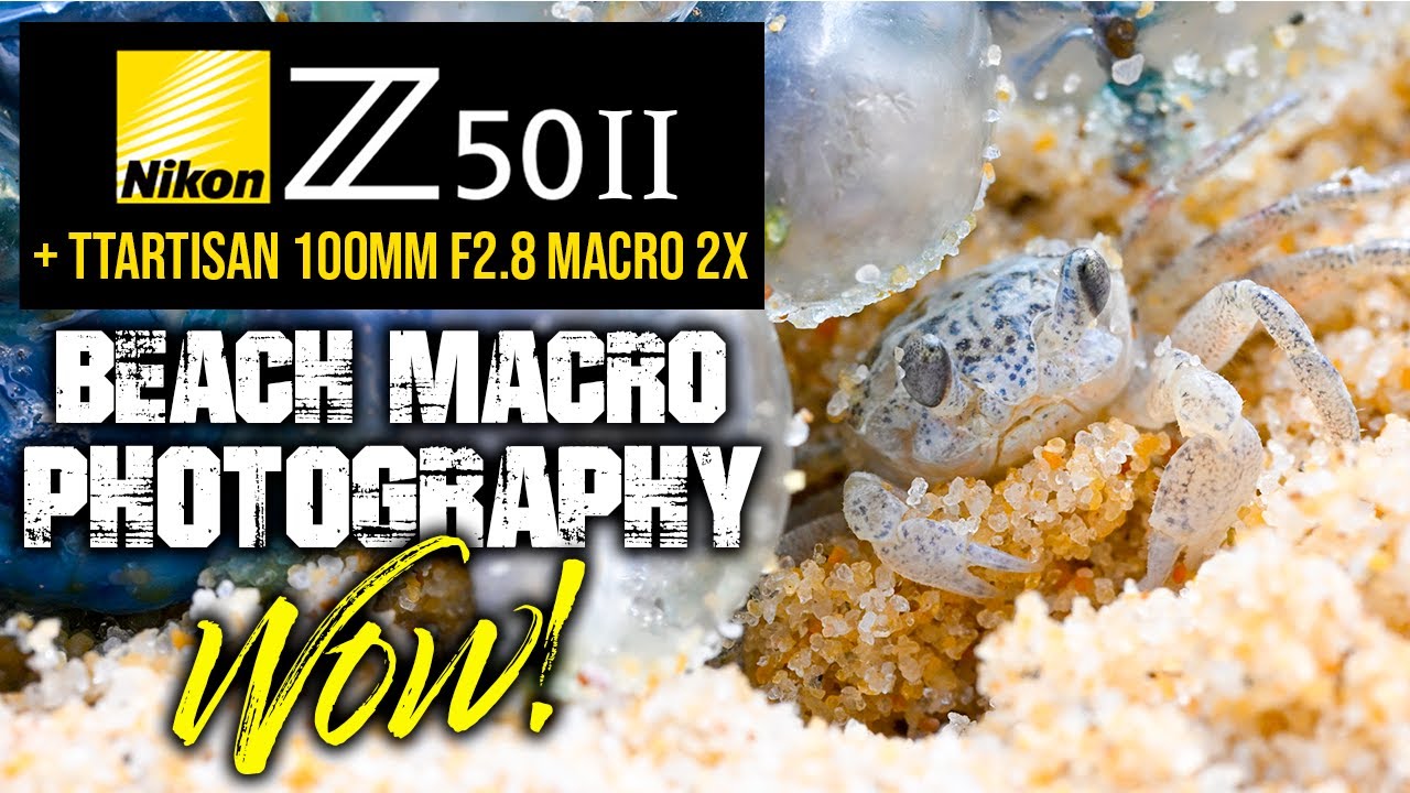 Nikon Z50II Beach Macro Photography | WOW!
